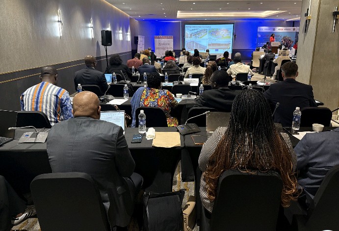 Delegates at the continental conference plenary session in Lusaka